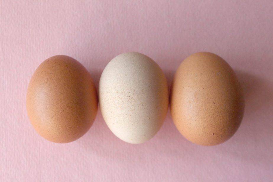 Los mejores huevos en Eggland