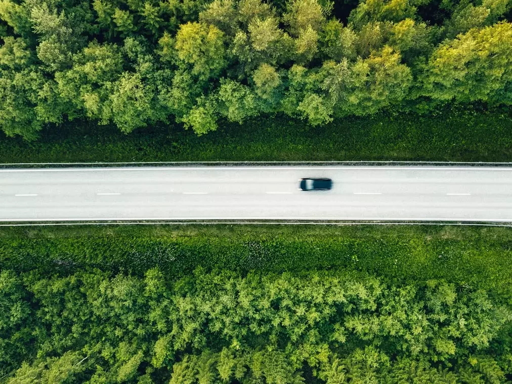 Reseñas de seguros de Costco: costo y cobertura (Guía 2024)