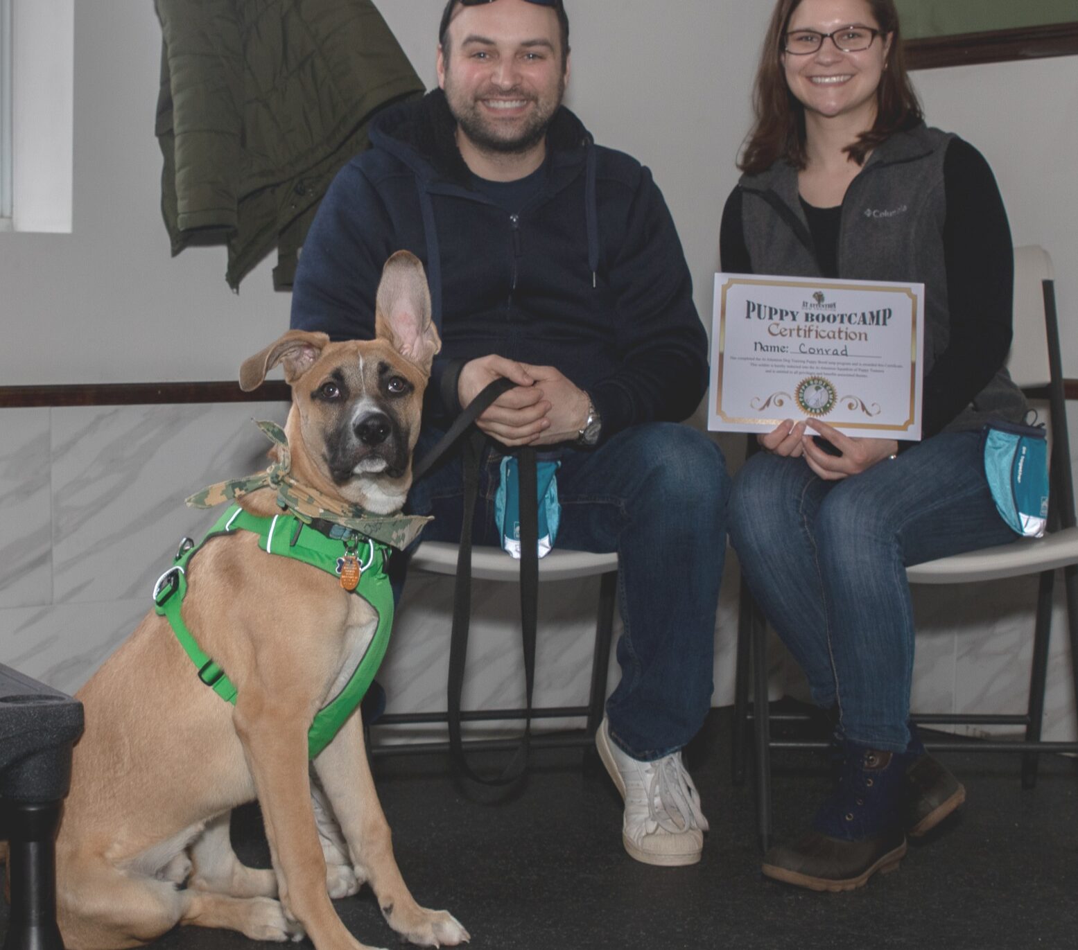 Costo de entrenamiento de perros PetSmart (tipos de entrenamiento, precios y más) Ed, Lauren y Conrad - Attention Dog Training