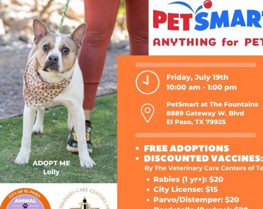 PetSmart – Adopciones de perros, microchips gratis, vacunas a bajo costo - El...