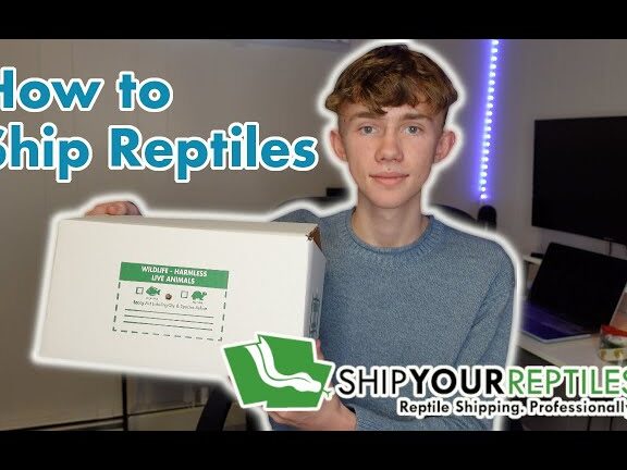 ¡Cómo enviar reptiles vivos!