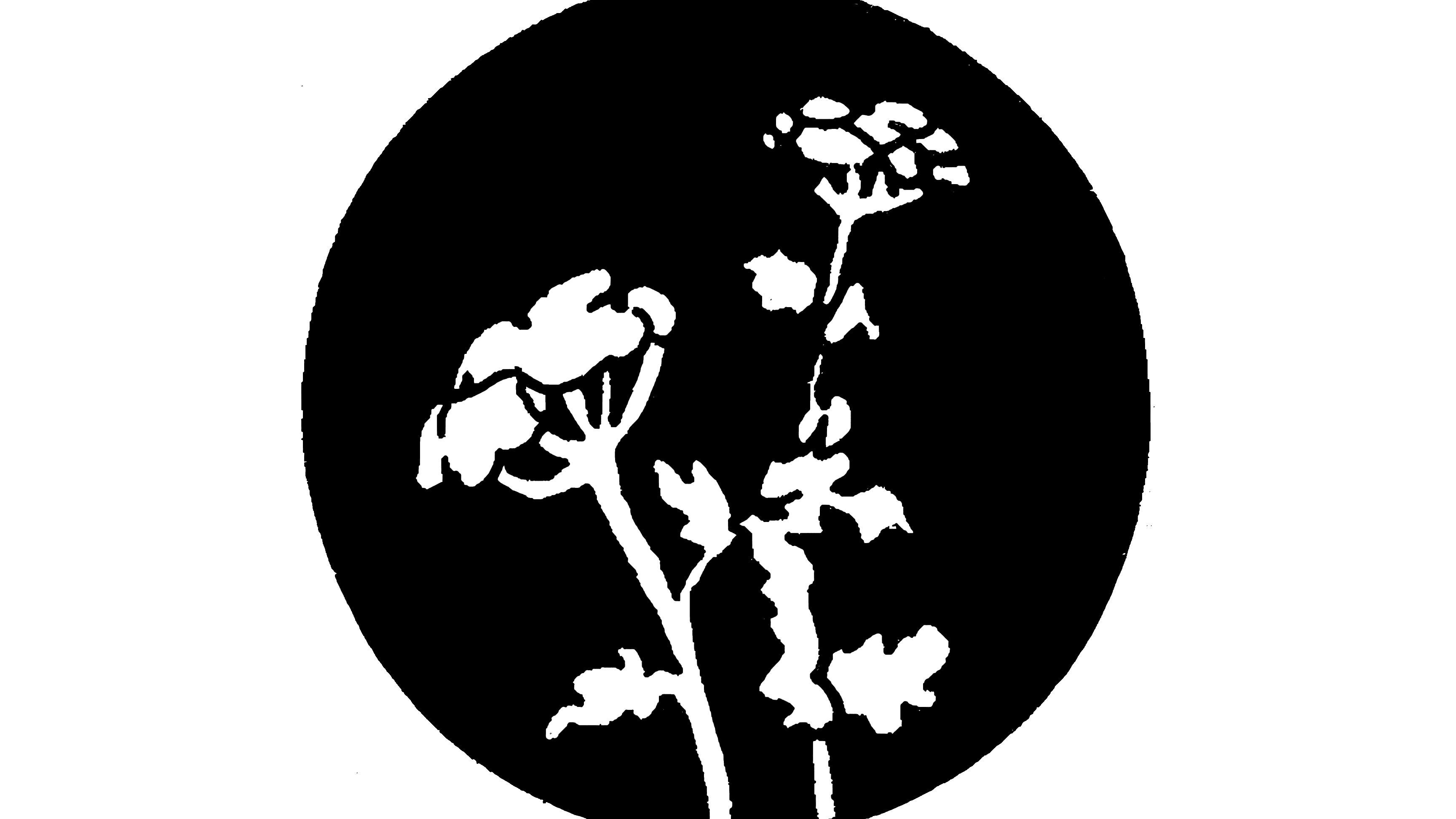 Hobby Lobby en una antigua tienda Venture: r/NotFoolingAnybody