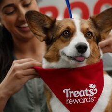 Petsmart American Fork, UT 84003 - Última actualización septiembre de 2024 - Yelp