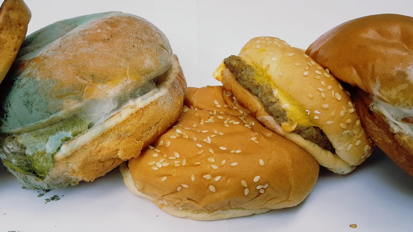 He aquí cuánto tiempo tardan las hamburguesas de comida rápida en estropearse