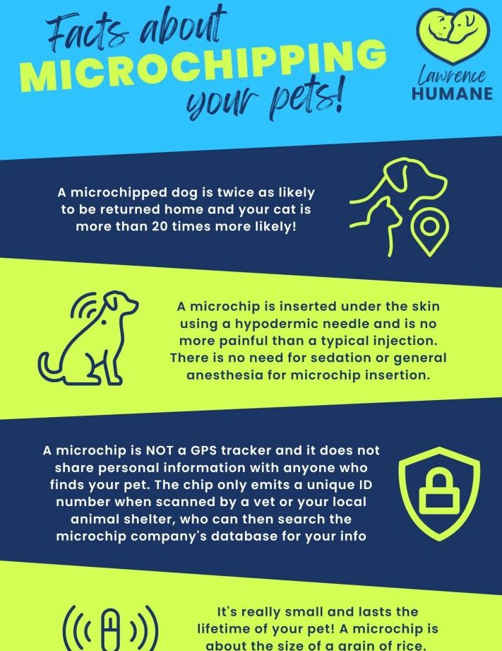 Preguntas frecuentes -