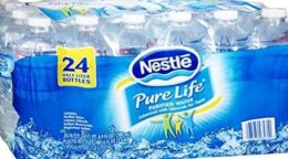 "¡Descubre el Impactante Secreto Detrás del Agua de Kirkland que Nadie