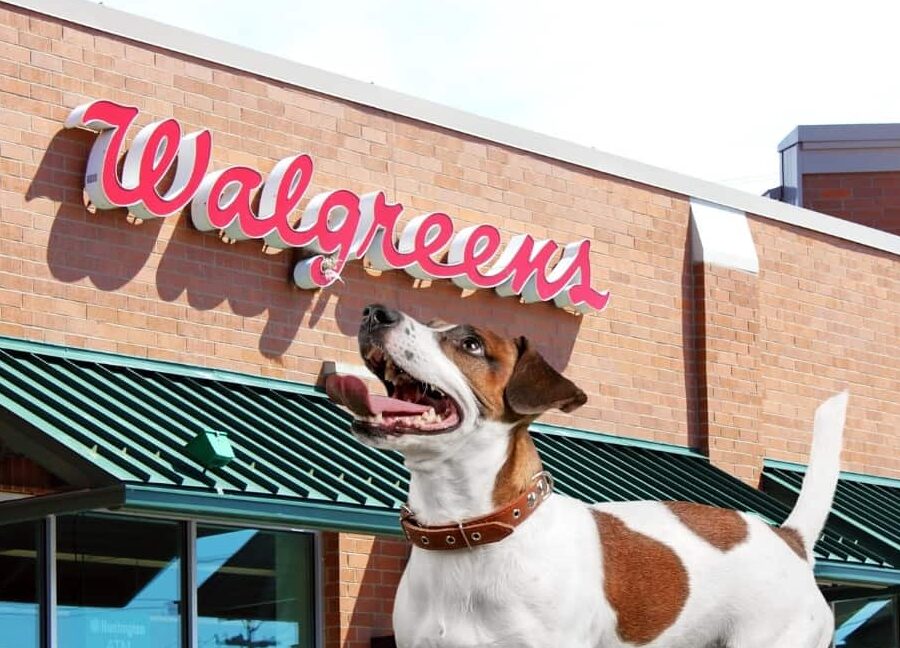 ¿Se permiten perros en Walgreens?